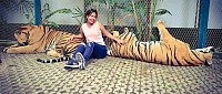 Tiger park Pattaya